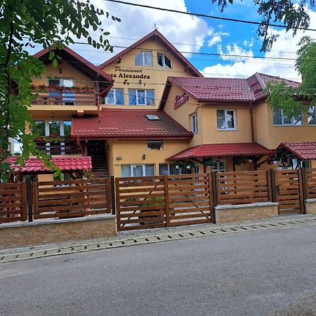 Pensiunea Casa Alexandra Vatra Dornei Exterior photo